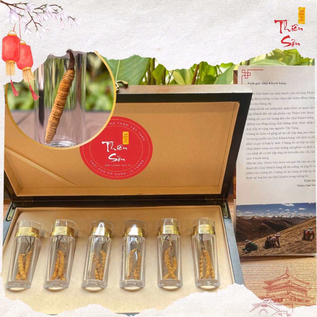 Làm thế nào để phân biệt đông trùng hạ thảo Tây Tạng thật và giả khi mua online?