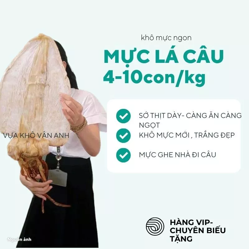 Mực Khô Vũng Tàu – Bí Quyết Chọn Mua và Sử Dụng Cho Người Sành Ăn