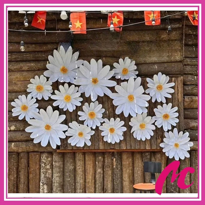 Làm thế nào để chọn hoa cúc hoạ mi khổng lồ phù hợp với không gian trang trí của bạn?