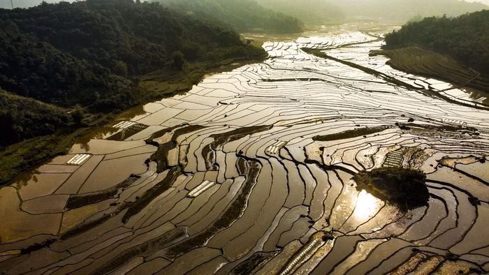 &Aacute;nh nắng rơi tr&ecirc;n từng tầng ruộng bậc thang P&ugrave; Lu&ocirc;ng