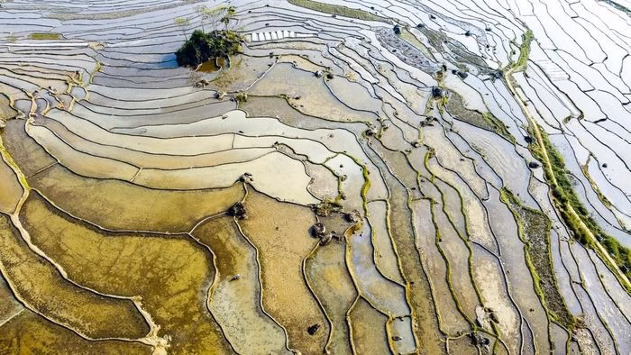 M&agrave;u sắc tự nhi&ecirc;n của ruộng bậc thang P&ugrave; Lu&ocirc;ng m&ugrave;a nước đổ