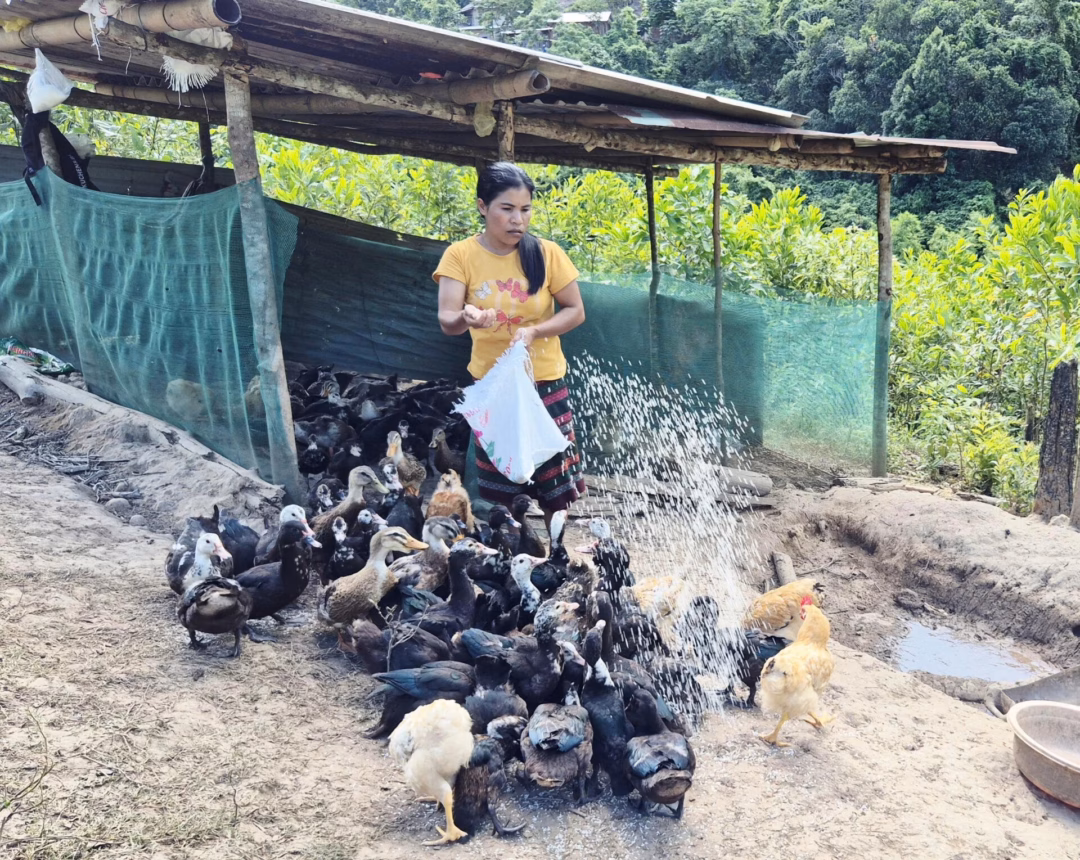 Bí thư chi bộ làm giàu cho quê hương