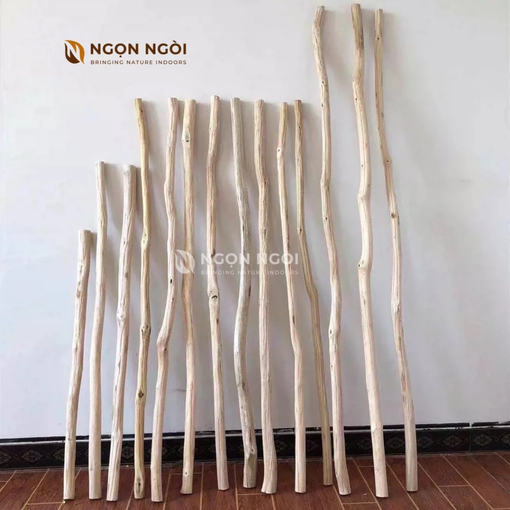 Làm thế nào để chọn cành cây gỗ khô trang trí phù hợp với không gian nội thất của bạn