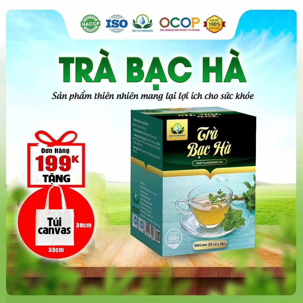 Uống Trà Lá Bạc Hà Hoa Nhài Cỏ Ngọt Có Giảm Cân Không? Tôi Đã Thử Và Đây Là Điều Tôi Phát Hiện