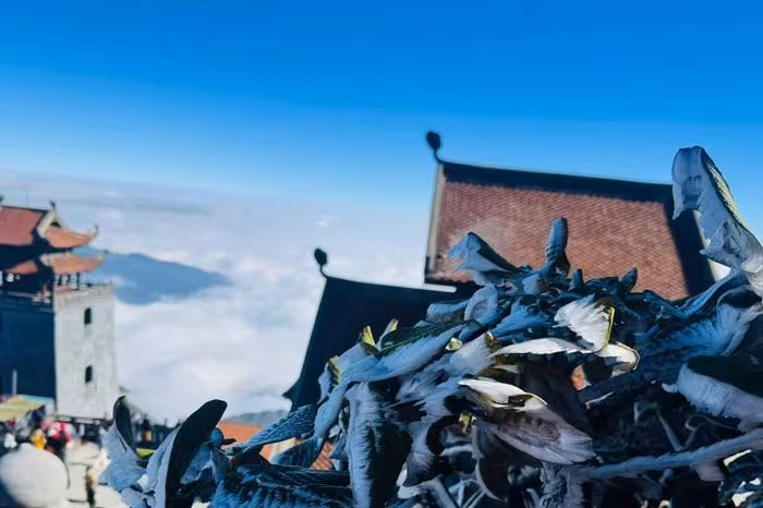 Fansipan băng giá trắng xóa: Cảnh tượng kỳ diệu trên “nóc nhà” Đông Bắc