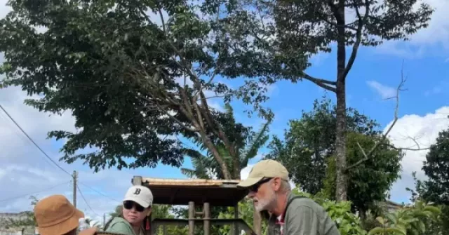 Khám phá “Lamborghini Ê Đê”: Trải nghiệm xe công nông lên rẫy cà phê ở Đắk Lắk cho du khách quốc tế