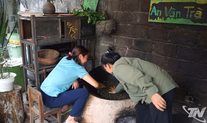 Du kh&aacute;ch trải nghiệm l&agrave;m tr&agrave; đ&ocirc;ng sao suốt tại HTX An V&acirc;n Tr&agrave;