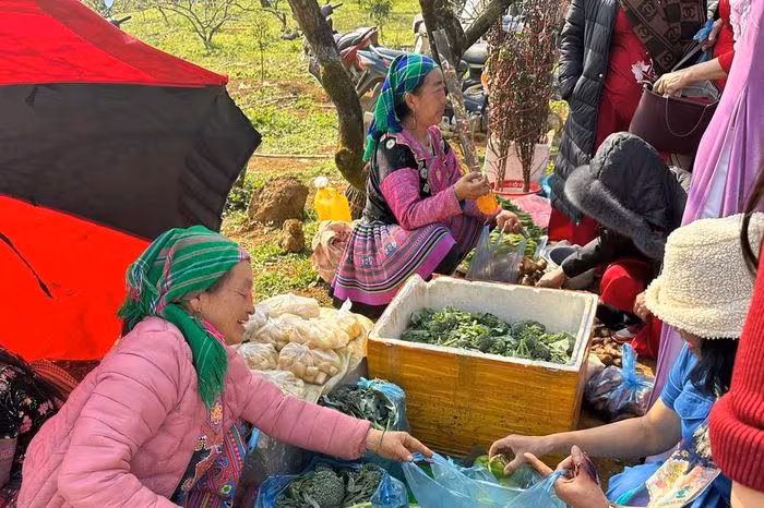 Xuân Mộc Châu – Trải nghiệm vị giác, âm thanh và phong cảnh Sơn La
