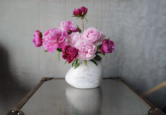 Hành trình vượt bạo bệnh của ca sĩ Hồng Nhung nhờ khu vườn trên cao và không gian 'chữa lành'- Ảnh 32.