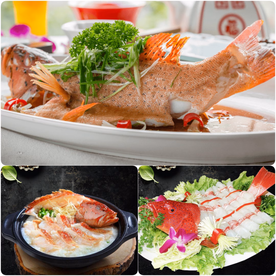 Khám phá vẻ đẹp và hương vị đặc trưng của vùng biển Bình Thuận Cá mú đỏ chế biến càng đơn giản, càng ít gia vị ăn càng ngon - Ảnh: internet
