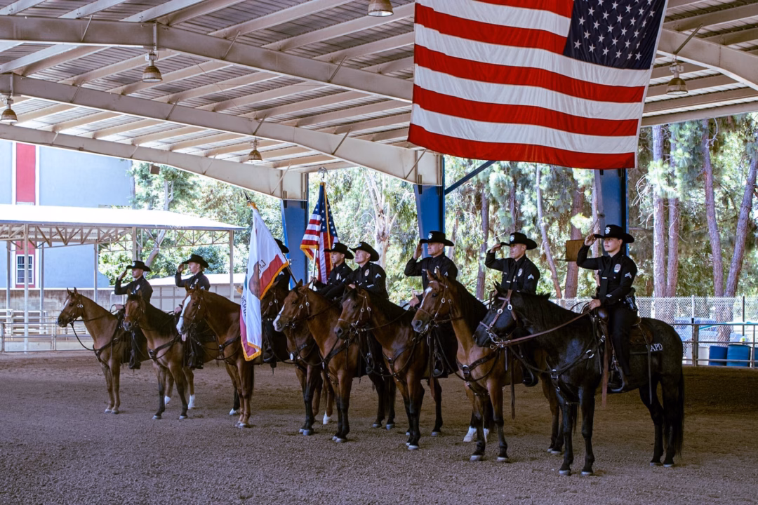 Làm đẹp ban ngày vì cộng đồng: Tôn vinh cảnh sát cưỡi ngựa ở Los Angeles