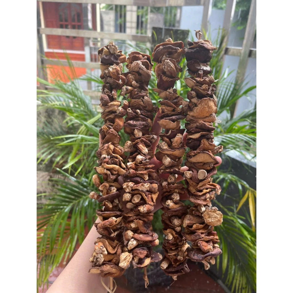 Làm thế nào để nhận biết nấm hương rừng tự nhiên thật và giả khi mua ở chợ?