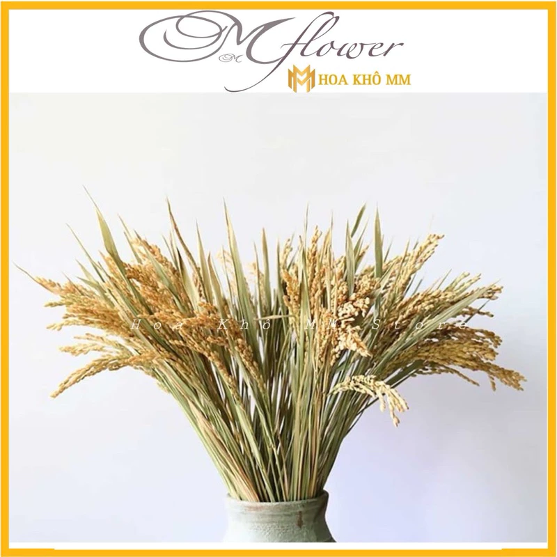 Làm thế nào để chọn bó lúa decor phù hợp cho không gian nhà bạn mà không mắc phải những lỗi thường gặp?