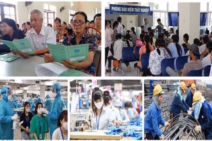 Bảo hiểm xã hội TP.HCM: Hướng dẫn mức đóng BHXH, BHYT, BHTN, BHTNLĐ từ 1/1/2026