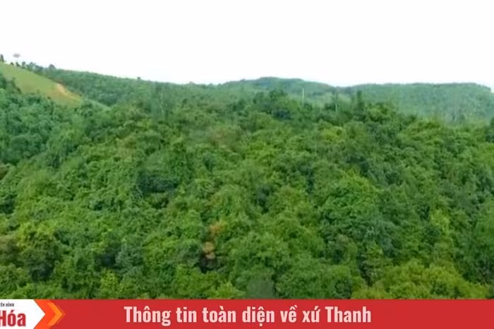 Khám phá Khu bảo tồn thiên nhiên Pù Hu: Lá phổi xanh của Thanh Hóa
