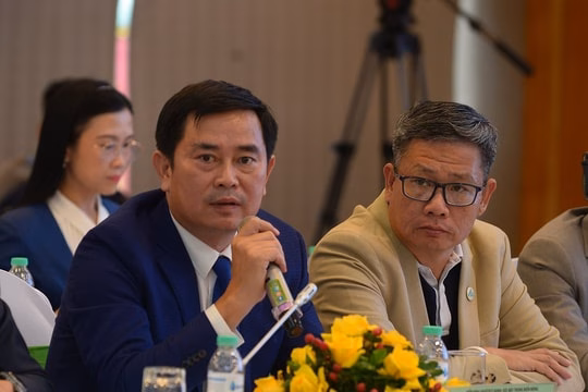 MACSTAR Group tiên phong trong vận tải xanh, giảm phát thải Tiên phong phát triển giải pháp logistics xanh