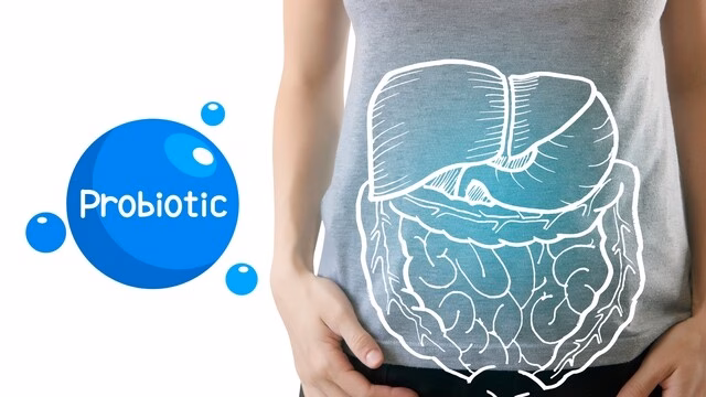 Men vi sinh và men tiêu hóa – Sự khác biệt và cách sử dụng hiệu quả Tiến sĩ Đỗ Thị Nguyệt Quế (Giảng viên Khoa Dược lý – Dược Lâm sàng, Trường Đại học Dược Hà Nội)