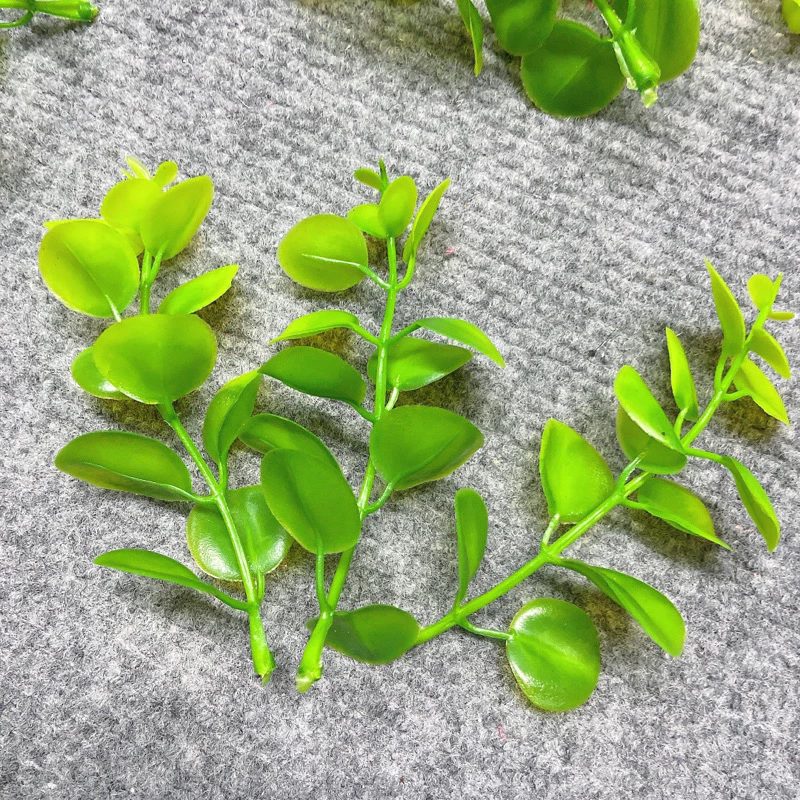 Lá Táo Chuột Trang Trí Bó Hoa: Bí Quyết Vui Chơi Mà Mẹ Hay Bỏ Qua Khi Trang Trí Cho Bé