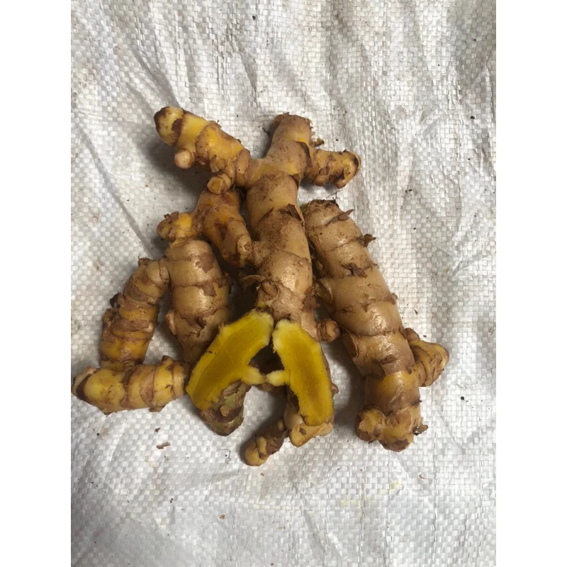 Cách chọn củ mai gang tươi Quảng Ninh để món ăn không bị đắng