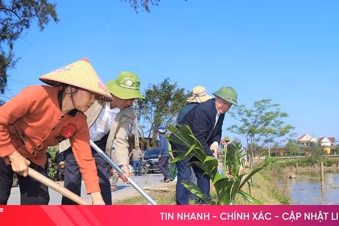 Hà Tĩnh đẩy mạnh phong trào trồng cây xanh: Bảo vệ môi trường và chuẩn bị cho Đại hội XIV