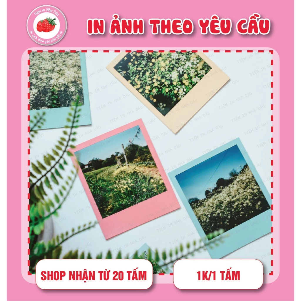 Tại sao in ảnh 6×9 viền trắng lại là lựa chọn hoàn hảo cho không gian gia đình bạn?