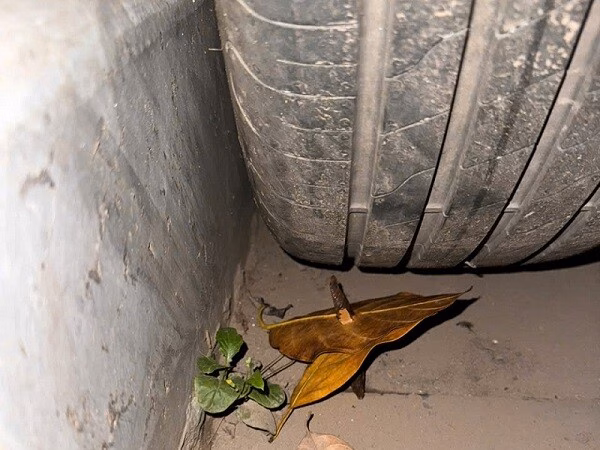 Hà Nội: Nạn ‘đinh tặc’ hoành hành, cảnh sát được trang bị vũ khí chống trả Hà Nội: Công an xã Thanh Trì phản hồi về tình trạng chông 5 ngạnh tự chế ‘bẫy’ ô tô tại khu chung cư Tecco- Ảnh 4.