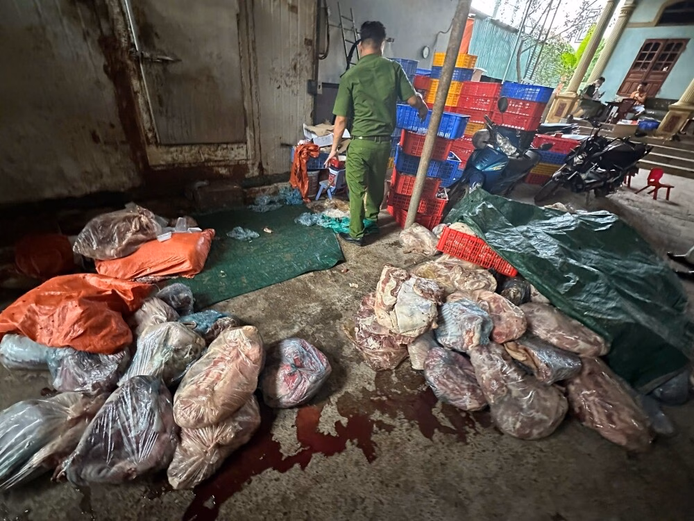 Phát hiện 4,7 tấn thịt lợn hôi thối trong kho không phép