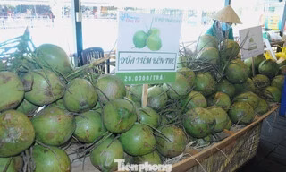 Cần Thơ siết chặt kiểm soát hàng lậu, hàng giả
