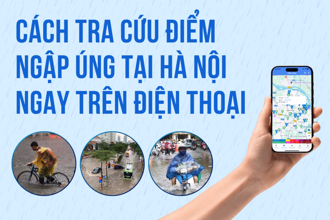 infographic cach tra cuu diem ngap ung tai ha noi ngay tren dien thoai