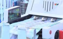 Xã Triệu Sơn phát triển kinh tế mũi nhọn để nâng cao thu nhập cho người dân