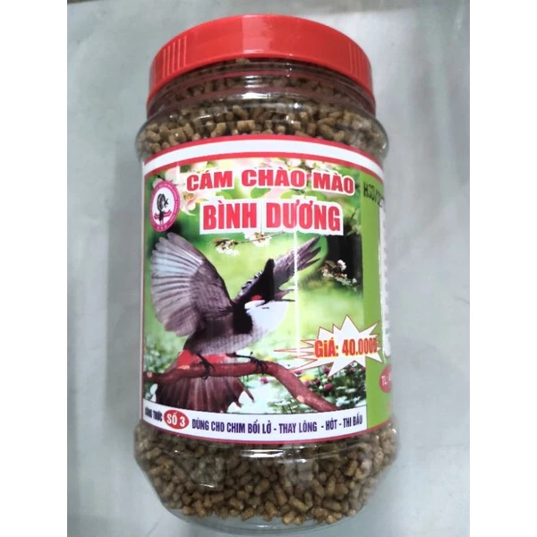 Làm thế nào để chọn cám chào mào Bình Dương phù hợp cho chim thay lông khỏe mạnh?