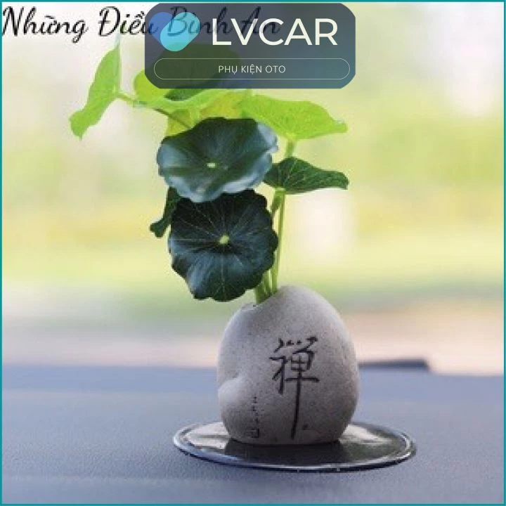 Làm thế nào để chậu cây tiểu cảnh không trở thành thảm họa trên bàn làm việc của bạn?