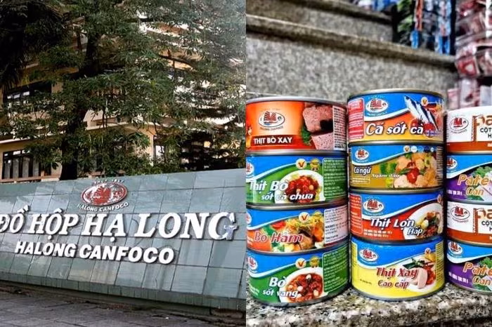 Bắt gấp TGĐ Đồ hộp Hạ Long: Cổ đông rời bỏ, doanh thu giảm 11%