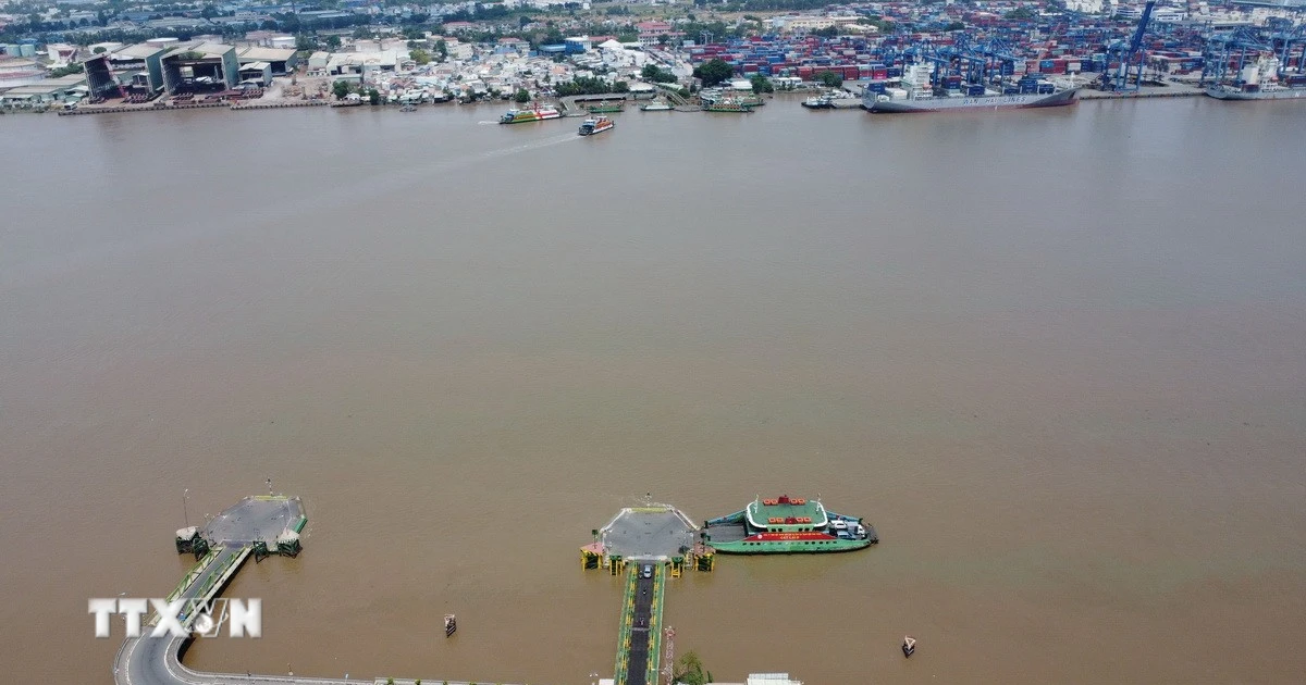 Cấm xe >8 tấn qua phà Cát Lái: Lộ trình thay thế và dự án cầu