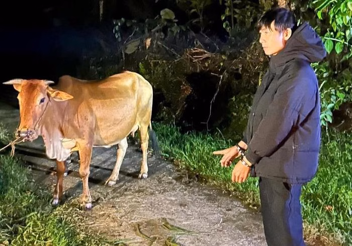 Nguyễn Nhật Phương bị bắt c&ugrave;ng 2 con b&ograve; trộm của b&agrave; Đặng Thị Li&ecirc;n