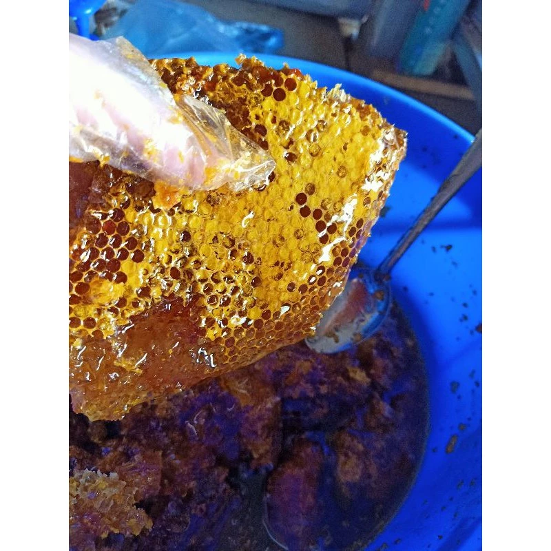 Độ nhớt bất ngờ của mật ong rừng đầu mùa khiến cách pha trà sáng trở nên khó khăn hơn dự tính