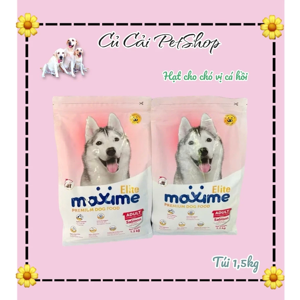 Ba tháng dùng hạt cá hồi cho chó mang đến thay đổi đáng chú ý cho da và tiêu hoá