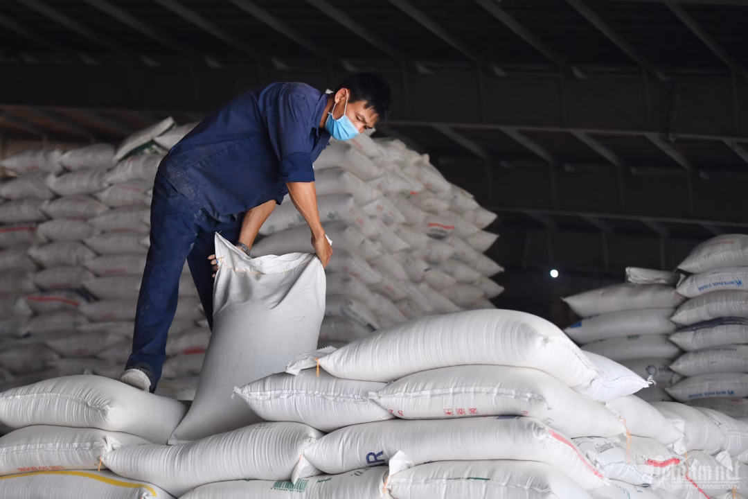 Chế biến sâu gạo để nâng cao giá trị Chế biến sâu gạo để nâng cao giá trị