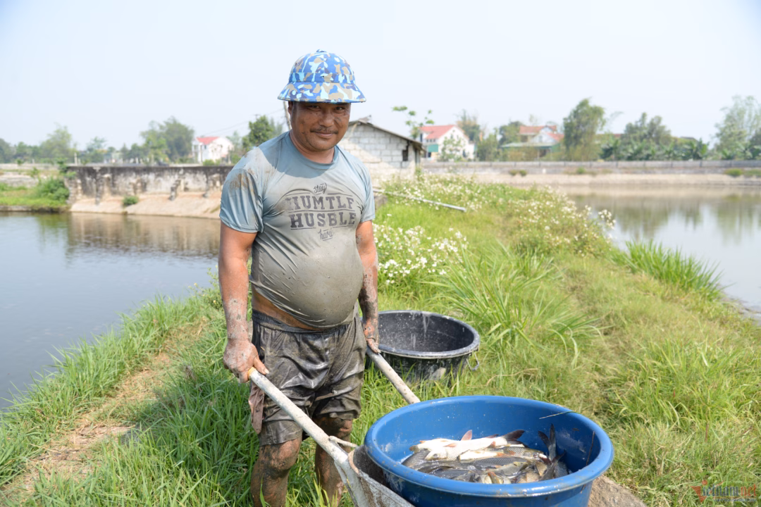 Trang trại tạo việc làm cho 4 nhân công địa phương