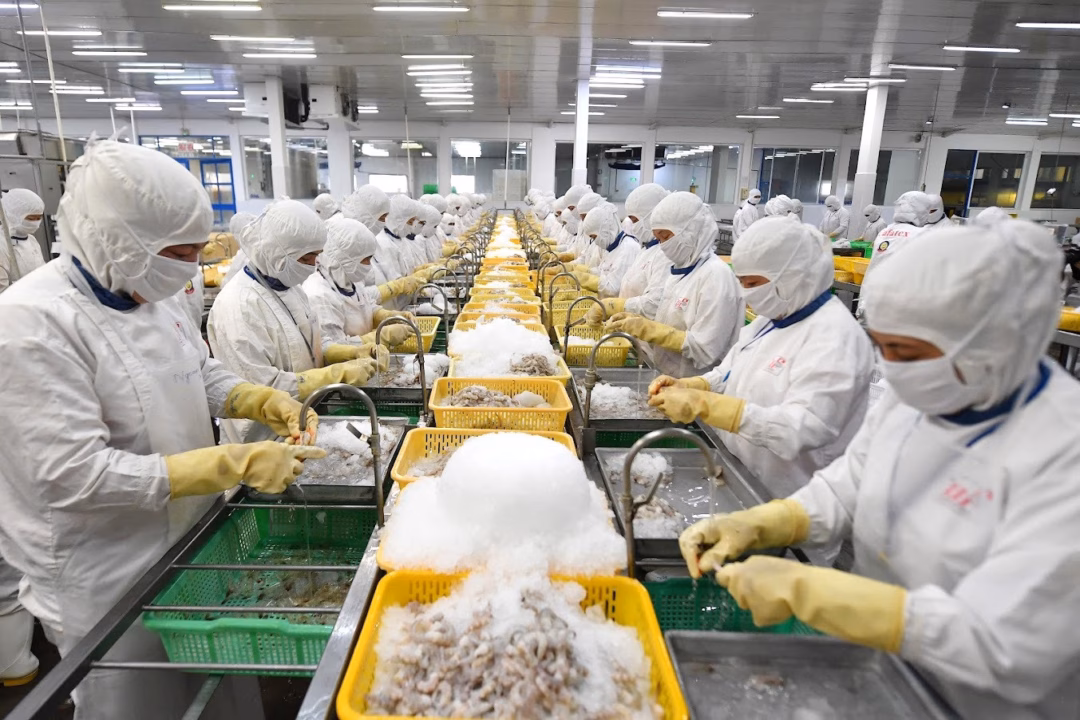 Số doanh nghiệp quay lại hoạt động tăng cao Tháng 6/2023, có 7.098 doanh nghiệp quay trở lại hoạt động