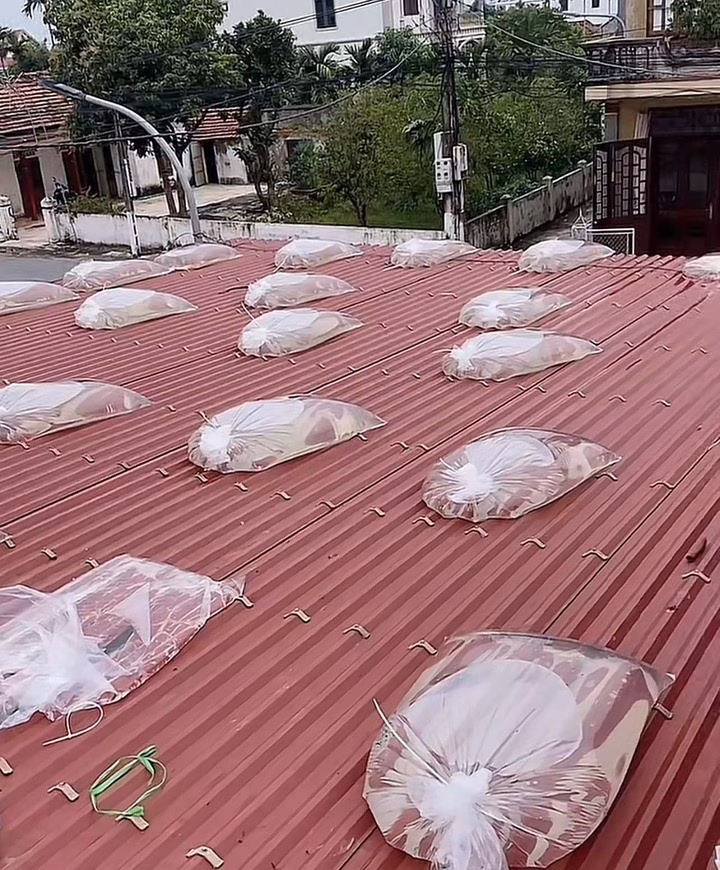 Trước giờ bão Wipha đổ bộ: Người dân Hạ Long buộc mái nhà vào xe tải, MXH nửa phục nửa hoang mang- Ảnh 4.
