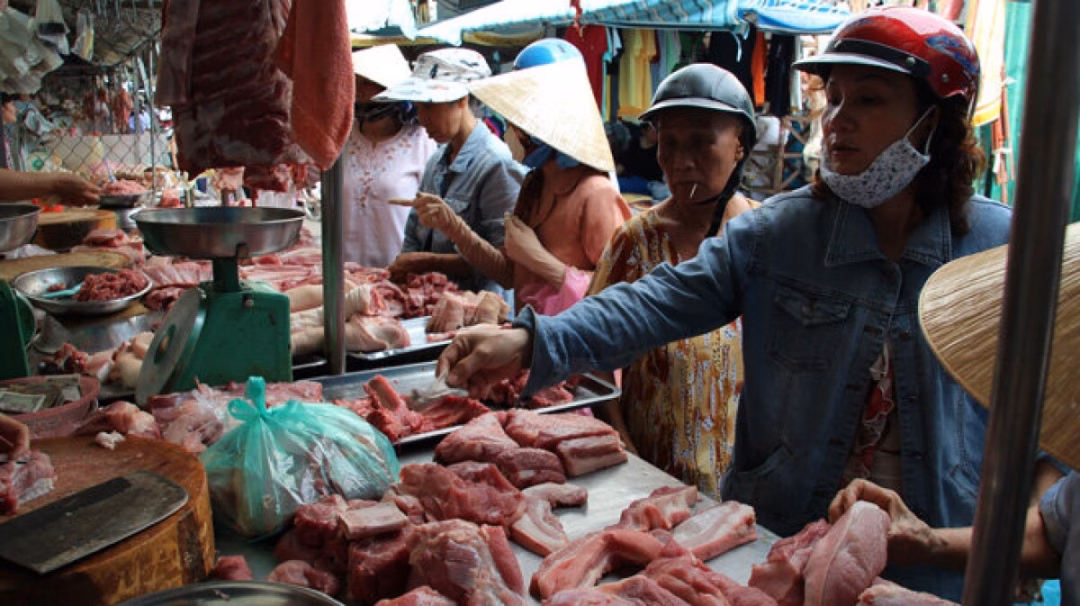 Cách chọn thịt lợn sạch tránh bị nhiễm bệnh TS. BS Bùi Thị Mai Hương, Trưởng khoa Vi sinh thực phẩm và sinh học phân tử, Viện Dinh dưỡng, Bộ Y tế.