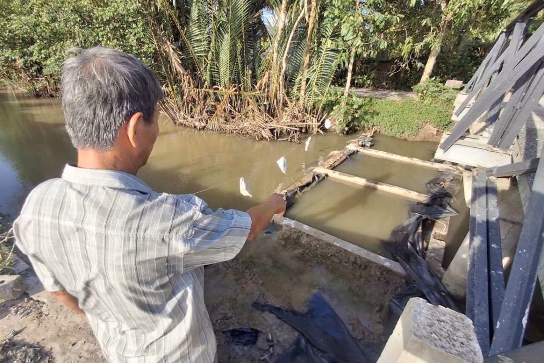 Xây đập chặn dòng nước. Ảnh: Tạ Quang