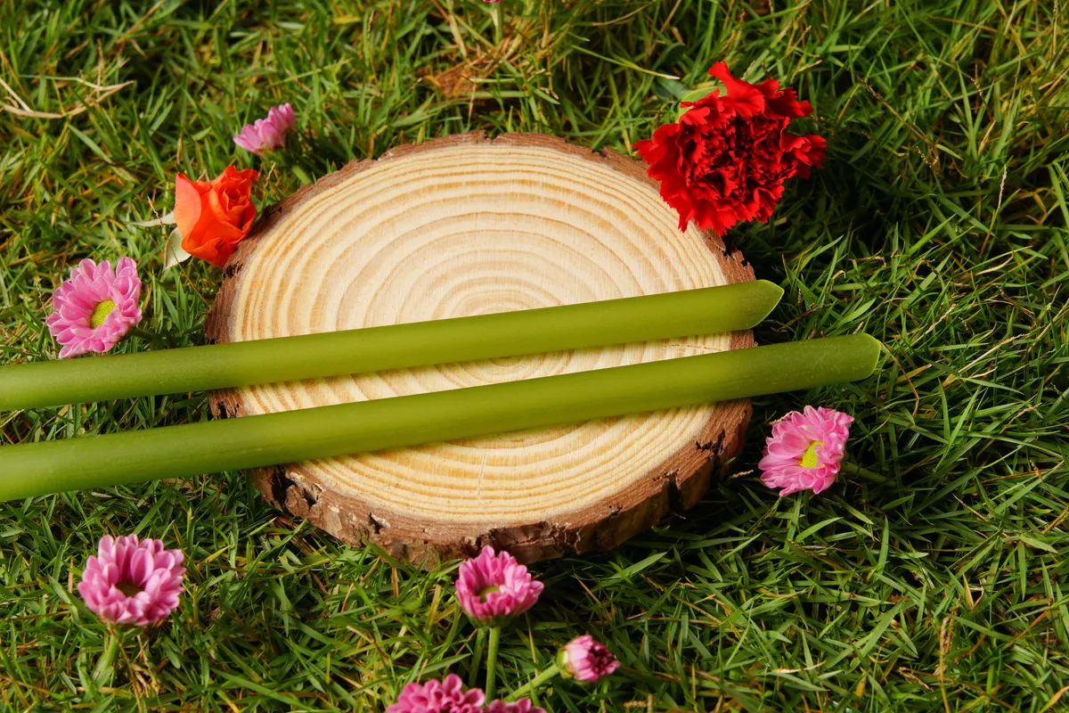Ống hút bằng rau củ thay cho ống hút nhựa (Ảnh: Ecos)