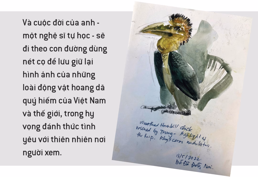 Họa sĩ Việt Nam dùng nghệ thuật bảo tồn loài hoang dã Đào Văn Hoàng: Vào trong hoang dã, vẽ để kể về sự sống và mất mát - Ảnh 1.
