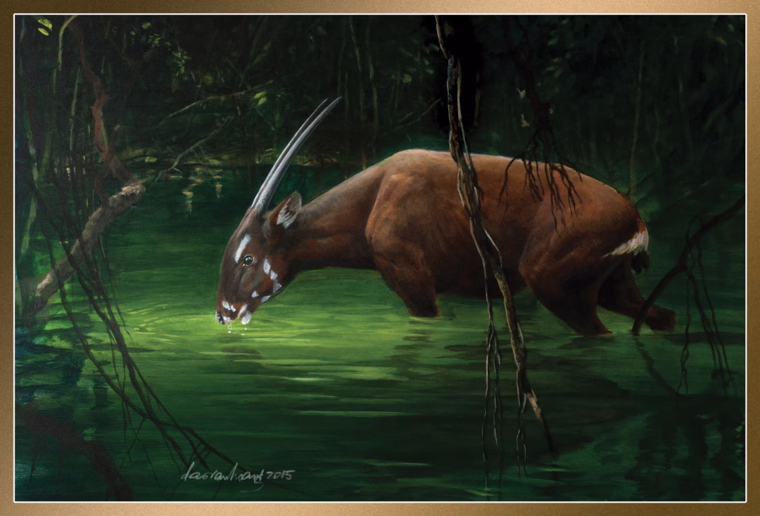 Họa sĩ Việt Nam dùng nghệ thuật bảo tồn loài hoang dã Bức "Deep Pool" vẽ Saola (Pseudoryx nghetinhensis) năm 2015.