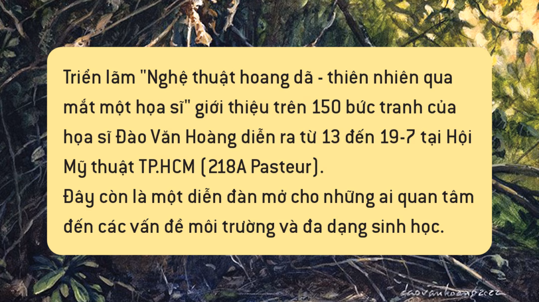 Họa sĩ Việt Nam dùng nghệ thuật bảo tồn loài hoang dã Đào Văn Hoàng: Vào trong hoang dã, vẽ để kể về sự sống và mất mát - Ảnh 8.