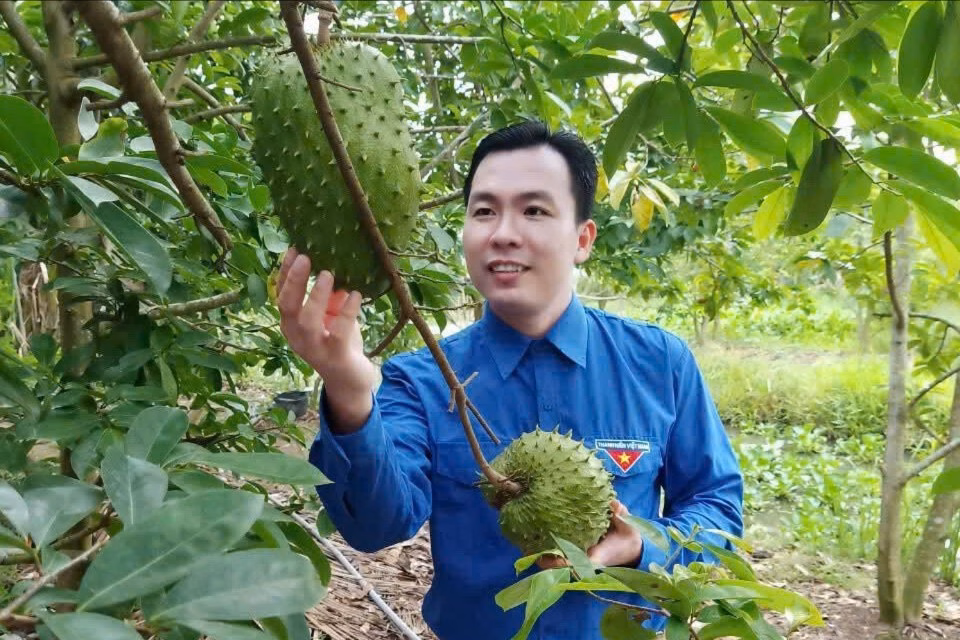 Làm trà từ mãng cầu xấu, chàng trai An Giang tạo việc làm cho nhiều người Mỗi tháng, cơ sở của anh Đậu cung cấp ra thị trường khoảng 100 kg trà mãng cầu, mang về thu nhập 30-35 triệu đồng sau khi trừ chi phí.
