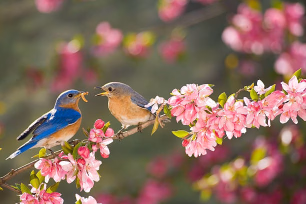 Trong công việc, người sinh tháng 5 Âm lịch thường là người tiên phong, biết cách truyền cảm hứng cho tập thể và dẫn dắt mọi người đạt được mục tiêu chung. Ảnh minh họa