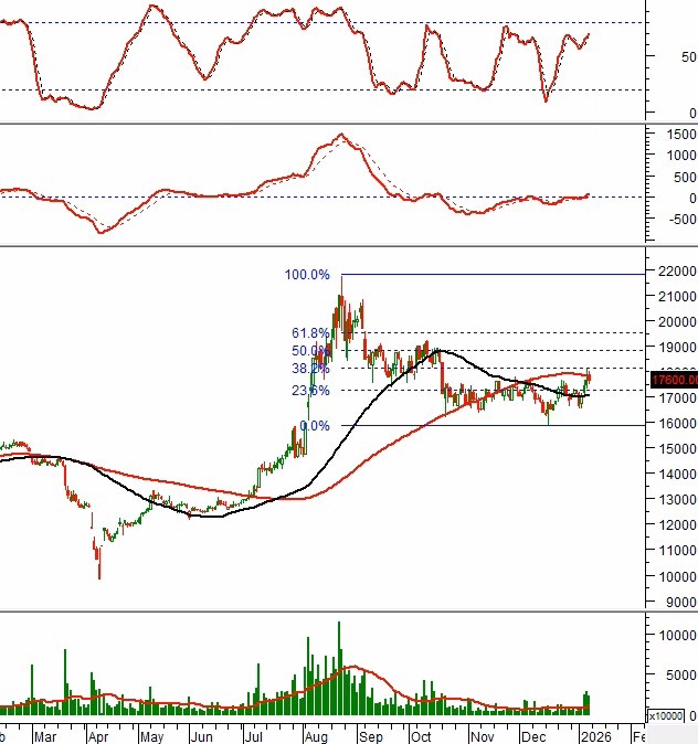 Biểu đồ TPB ng&agrave;y 09/01/2026